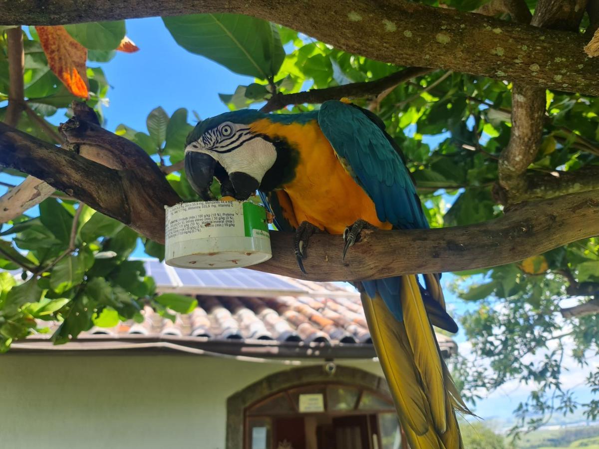 Pousada Nossa Senhora Penedo  Exterior photo Blue and yellow macaw
